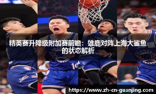 精英赛升降级附加赛前瞻：雄鹿对阵上海大鲨鱼的状态解析